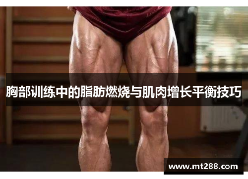 胸部训练中的脂肪燃烧与肌肉增长平衡技巧